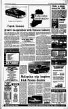 Irish Independent Wednesday 02 November 1988 Page 21