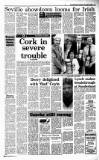 Irish Independent Tuesday 08 November 1988 Page 13