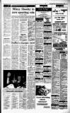 Irish Independent Tuesday 08 November 1988 Page 17