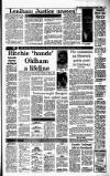 Irish Independent Wednesday 09 November 1988 Page 17