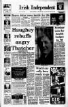 Irish Independent Saturday 03 December 1988 Page 1