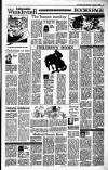 Irish Independent Saturday 03 December 1988 Page 13