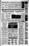 Irish Independent Saturday 03 December 1988 Page 17