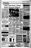 Irish Independent Saturday 03 December 1988 Page 25