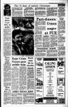 Irish Independent Friday 23 December 1988 Page 5