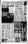 Irish Independent Wednesday 28 December 1988 Page 3