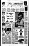 Irish Independent Tuesday 03 January 1989 Page 1