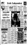 Irish Independent Saturday 07 January 1989 Page 1