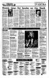 Irish Independent Saturday 07 January 1989 Page 13
