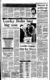 Irish Independent Saturday 07 January 1989 Page 17