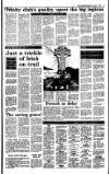 Irish Independent Saturday 07 January 1989 Page 19