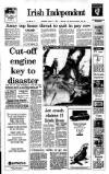 Irish Independent Wednesday 11 January 1989 Page 1