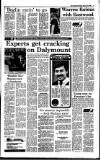 Irish Independent Friday 13 January 1989 Page 17
