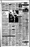 Irish Independent Monday 16 January 1989 Page 15