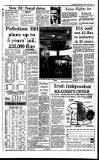 Irish Independent Friday 20 January 1989 Page 5