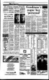 Irish Independent Friday 03 February 1989 Page 4
