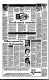 Irish Independent Friday 03 February 1989 Page 13