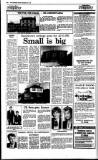 Irish Independent Friday 03 February 1989 Page 26