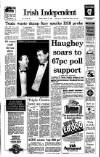Irish Independent Monday 06 February 1989 Page 1