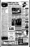 Irish Independent Wednesday 08 February 1989 Page 21
