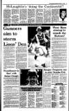 Irish Independent Saturday 11 February 1989 Page 19