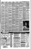 Irish Independent Saturday 11 February 1989 Page 27