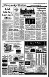 Irish Independent Wednesday 15 February 1989 Page 25