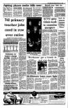 Irish Independent Thursday 16 February 1989 Page 13