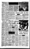 Irish Independent Friday 31 March 1989 Page 13