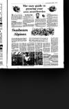 Irish Independent Saturday 15 April 1989 Page 35