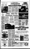 Irish Independent Friday 07 April 1989 Page 25