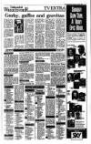 Irish Independent Saturday 08 April 1989 Page 15