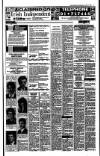 Irish Independent Wednesday 12 April 1989 Page 17
