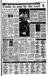 Irish Independent Saturday 29 April 1989 Page 19