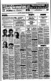 Irish Independent Wednesday 03 May 1989 Page 17