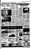 Irish Independent Wednesday 03 May 1989 Page 19