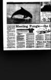 Irish Independent Wednesday 10 May 1989 Page 40