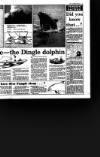 Irish Independent Wednesday 10 May 1989 Page 41