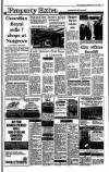 Irish Independent Wednesday 17 May 1989 Page 19