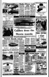 Irish Independent Wednesday 07 June 1989 Page 29