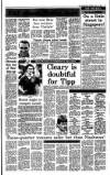 Irish Independent Saturday 10 June 1989 Page 15