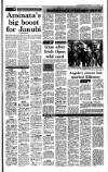 Irish Independent Thursday 15 June 1989 Page 17