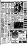 Irish Independent Thursday 15 June 1989 Page 19