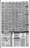 Irish Independent Thursday 15 June 1989 Page 25