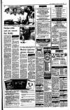 Irish Independent Tuesday 20 June 1989 Page 17