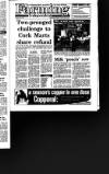 Irish Independent Tuesday 04 July 1989 Page 23