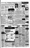 Irish Independent Wednesday 05 July 1989 Page 17