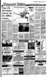 Irish Independent Wednesday 05 July 1989 Page 19