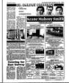 Irish Independent Friday 14 July 1989 Page 49