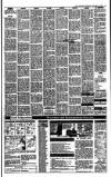 Irish Independent Wednesday 06 September 1989 Page 23